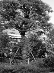 婺源注册公司